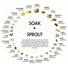 Soaking Sprouting Nuts Seeds Grains Easy Chart
