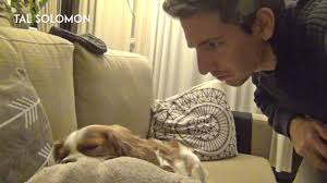 Like → Tal Solomon, How to stop anyone from snoring:, 1. Film them snoring,  2. Play it back for them with the volume up, 3. Put it