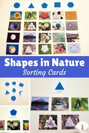 Shapes In Nature Sorting Cards Printables Geometry In Nature Montessori Activities Montessori Lessons Shape Sorting Activities