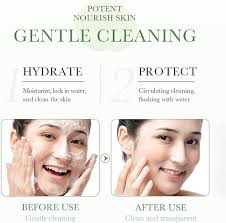 BIOAQUA Centella Asiatica Soothing Face Cleanser Oil Control Anti-Acne Deep  Pore Clean Facial Hydrating Moisturizing 100g/3.5oz : Beauty & Personal  Care