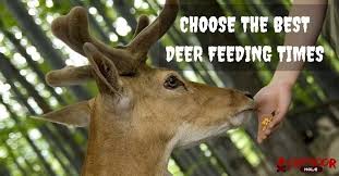 47 Thorough Deer Feed Chart