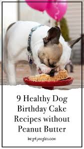Typical recipes for cakes for dogs contain very simple ingredients that you probably have in your kitchen already. 9 Dog Birthday Cake Recipes Without Peanut Butter Dog Birthday Cake Recipe Dog Cake Recipes Dog Birthday Cake