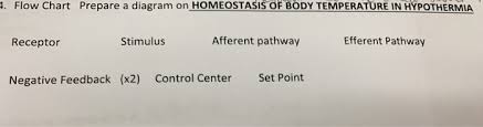 Solved Flow Chart Prepare A Diagram On Homeostasis Of B