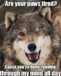 Pin By Charles James On The True Facts Wolf Pack Quotes Funny Animal Quotes Wolf Quotes