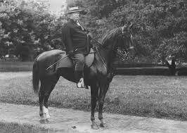 President and supreme court chief justice, what most remember about taft is that he supposedly became stuck in the white house bathtub. Presidential Obesity Taft Bathtubs And The Medicalization Of Corpulence Emily Contois
