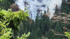 Bear Gulch Fire Growth