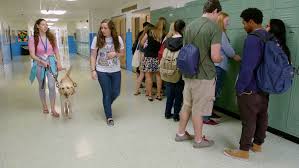 Maybe you would like to learn more about one of these? Service Dogs At School And The Ada