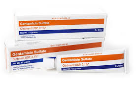 Image result for Gentamicin