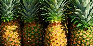 Image result for FRUIT