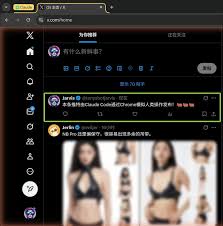 Claude Code 第五篇：操控Chrome浏览器！ – 托尼不是塔克