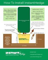 Maybe you would like to learn more about one of these? How To Plant Hedges Planting Hedges Instanthedge Blog