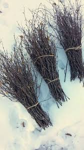 Birch Branches For Sale Your Place To Buy And Sell All Things Handmade Birch Tree Decor White Birch Trees Branch Decor