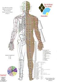 18 Curious Acupressure Points Chart Free Download Pdf