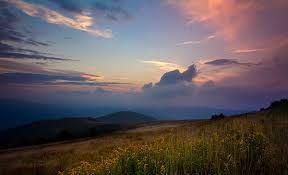 Consolatio Wordsworth We Find Strength In What Remains Behind
