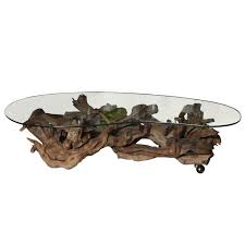 1960 S Driftwood Coffee Table Driftwood Coffee Table Coffee Table Natural Wood Furniture