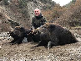 Chasse Du Sanglier En Turquie Autentic Chasse