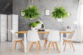 Look through cozy dining room pictures in different. White Chairs At Dining Table In Cozy Dining Room With Ferns Screen And White Cupboard Stock Photo Picture And Royalty Free Image Image 97990018