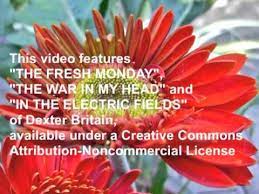 Youtube Plant Species Ornamental Plants Gerbera Jamesonii