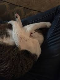 We did not find results for: A Long Winter S Nap Album On Imgur