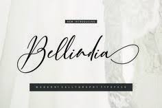 So you can use these fonts for your logos, clothing, banners, posters, or even youtube thumbnails! 20 Ide Discont Bundel Ballerina Studio