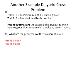 Which observation of dihybrid crosses led to mendel's law of independent assortment? Trihybrid Cross Example Problems