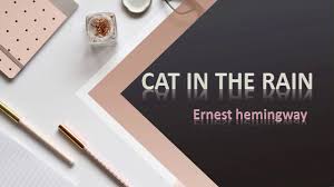 There is now a large number of linguistic analyses of. Cat In The Rain Summary Analysis And Themes Youtube