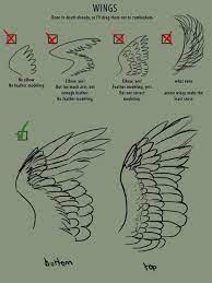 Stages of art development reflect stages of child development Drawing References And Resources Wings Drawing Drawing Tips Art Reference Photos