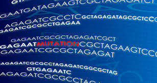 Diese beruhen dann schon auf einem zwischenergebnis der auszählungen. Erste Hochrechnung Zur Verbreitung Der Coronamutationen