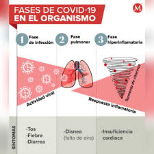 Esto significa que se administra al paciente arn mensajero que lleva una copia de instrucciones genéticas. Vacuna Cansino Para Maestros Efectos Secundarios Efectividad Y Dosis