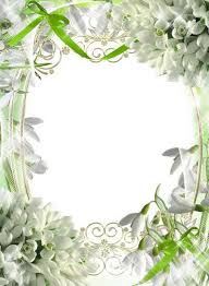 Boards are the best place to save images and video clips. Frames White Spring Flowers To Replace The Winter Frost