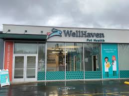 The cookie settings on this website are set to allow cookies to give you the best browsing experience possible. Veterinarian Beaverton Or Fear Free Wellhaven Pet Health Cedar Hills