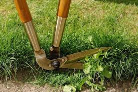 Product description this insulated edging shears from bulldog's premier range has solid forged managanese steel head and socket. How To Edge A Lawn Guide To Lawn Edging Greensleeves