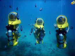 Aquafari Op Curacao Tour Curacao Activities 2020