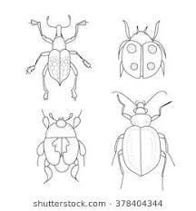 Set Of Cute Hand Drawn Ornamental Beetles Outline Drawings Bugs Drawing Bug Art