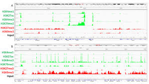 Captures dna targets for transcription factors or histone modifications across the entire genome of any organism. An Integrated Platform For Genome Wide Mapping Of Chromatin States Using High Throughput Chip Sequencing In Tumor Tissues Protocol