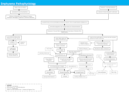 Pathophysiology Concept Map Emphysema Pathophysiology