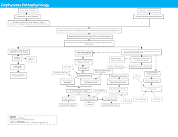 pathophysiology concept map emphysema pathophysiology