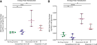 Image result for Black 1997 AAV