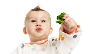 Best Dietitian-Approved Baby-Led Weaning Books for Parents