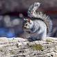 National Take a Hike Day: Hibernation Hike