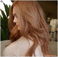 Take these photos to the salon with you. Strawberry Blonde Hair At Home Formula My Epic Journey Part 4 Current Formula Girlgetglamorous