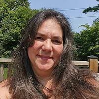 Last Chance Investigation (Sierra's Web #12) by Tara Taylor Quinn