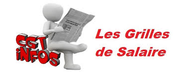 Grilles De Salaire Syndicat Cgt Du Conseil Departemental Des Yvelines Et De Ses Etablissements Publics