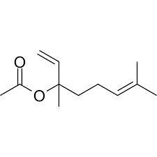 Image result for Dolichos trilobus