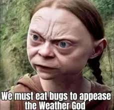 Why does the actor for Holly look so different now? She's gained a lot of  weight. : r/okbuddychicanery