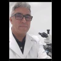 Daniel Spielmann Email & Phone Number