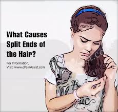 The solution is like a wax and is slightly painful similarly to the wax creams used for pulling out the hairs. Can Split Ends Stop Hair Growth