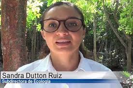 Existe problemática ambiental en Cozumel por tiraderos de basura