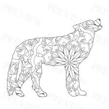 Download 53 Coloring Page Kdp Interiors For Activity Books Ideas In 2021 Amazon Coloring Books Coloring Books Coloring Book Pages