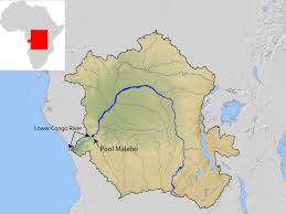 The congo basin spans across six. In Pictures Fascinating Fish Amnh
